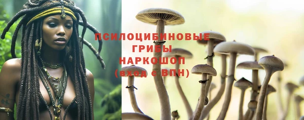 соль курить ск Зерноград