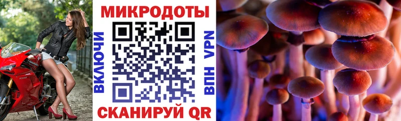Псилоцибиновые грибы MAGIC MUSHROOMS  Купить  Псков 